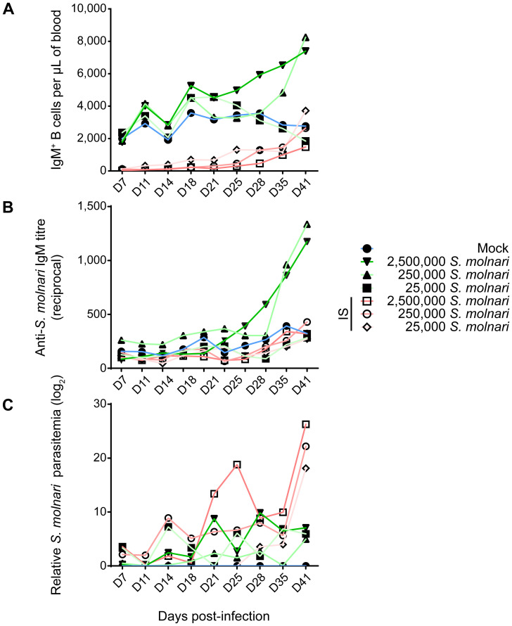 Figure 2