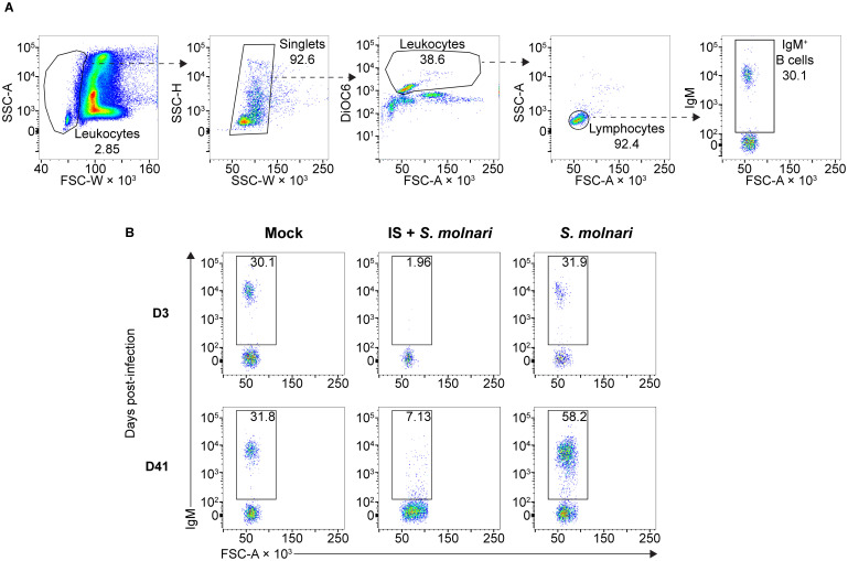 Figure 1