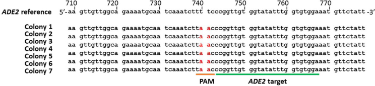 Figure 4.