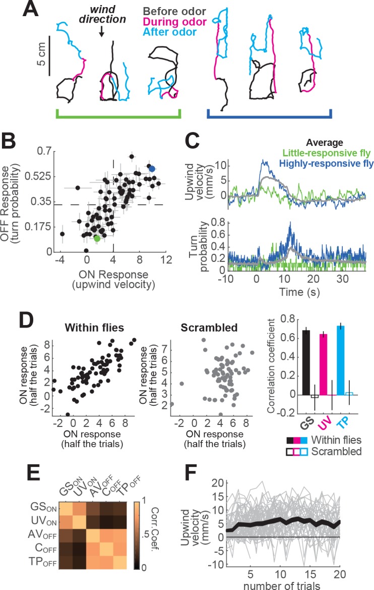 Figure 1—figure supplement 2.