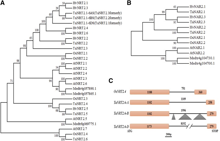 Figure 1.