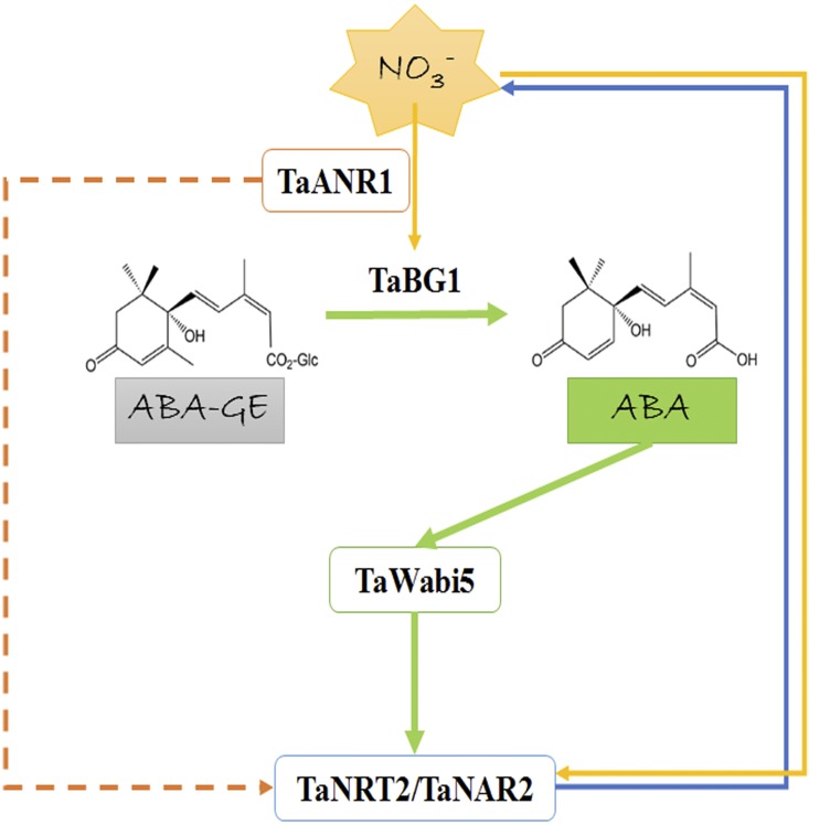 Figure 7.