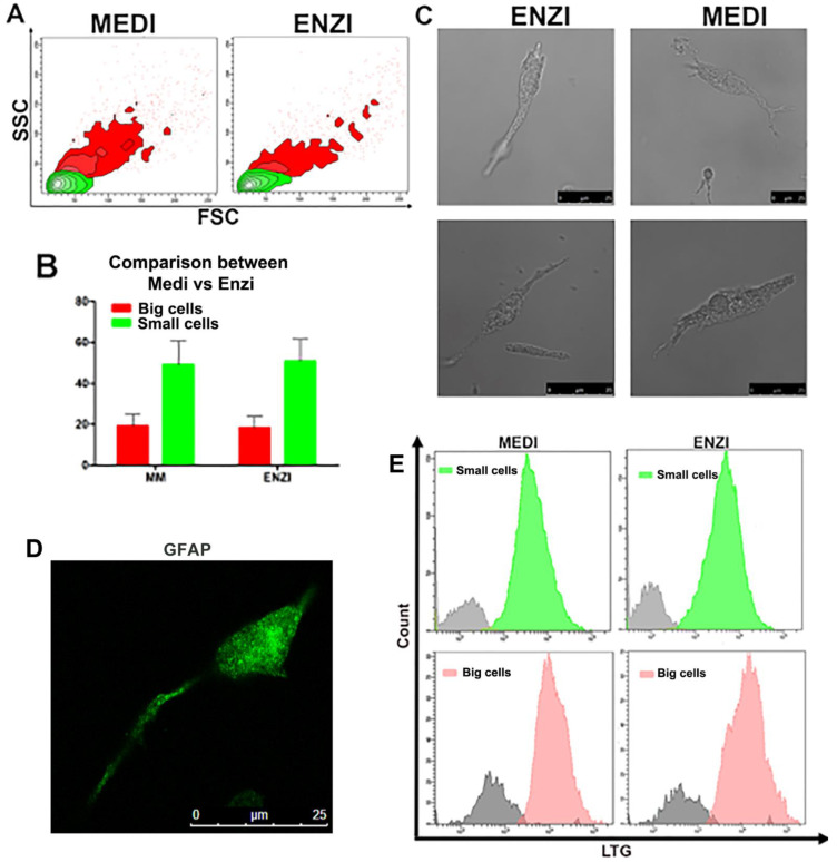 Figure 13