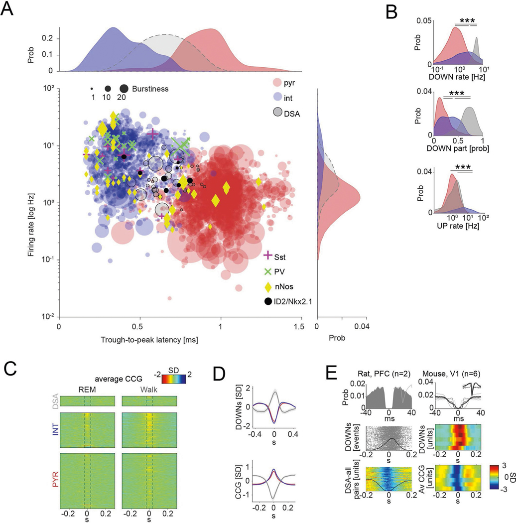 Extended Data Fig. 1 |