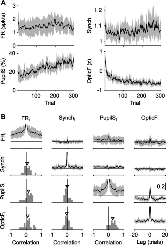 Figure 2—figure supplement 1.