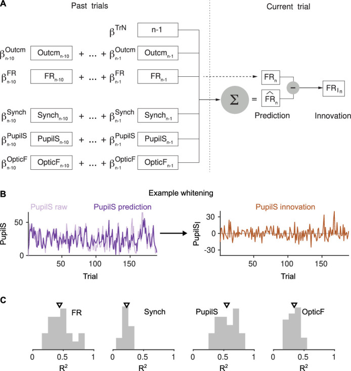 Figure 2—figure supplement 2.