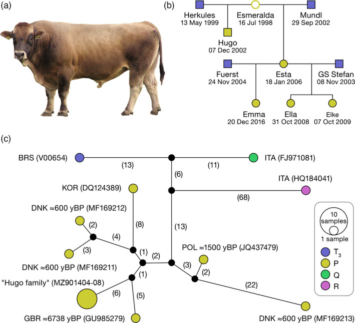 FIGURE 2