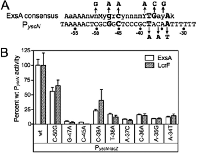 Fig 8