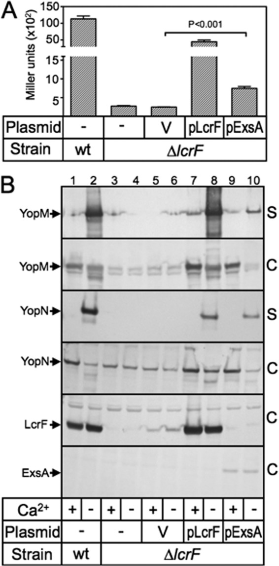 Fig 9