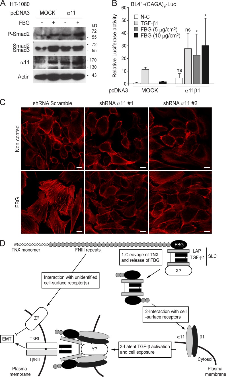 Figure 10.