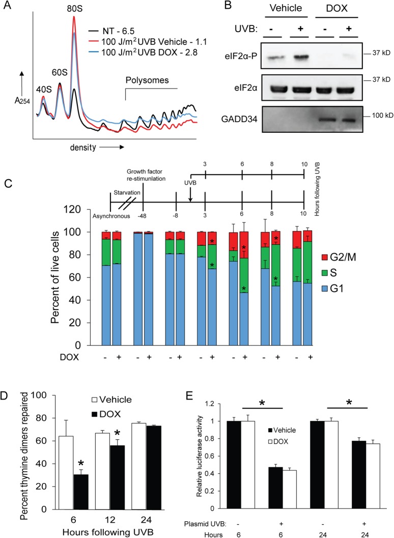 FIGURE 1: