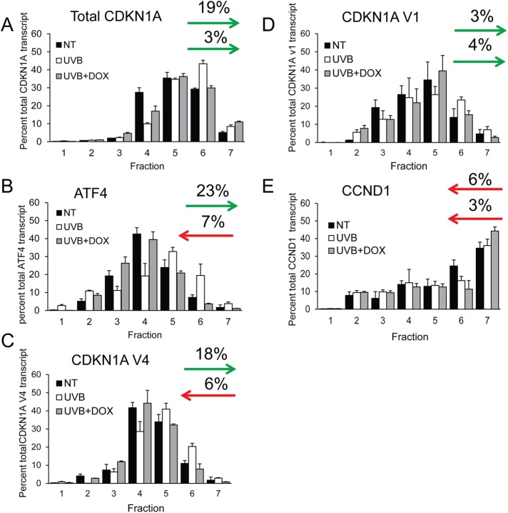 FIGURE 4: