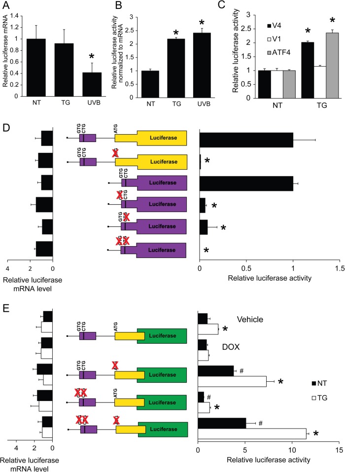 FIGURE 6: