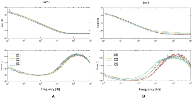 Figure 5