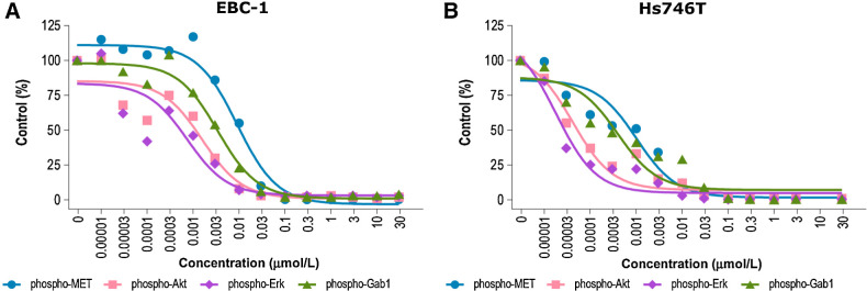 Figure 2. Inhibition of MET phosphorylation and downstream signaling molecules with tepotinib in EBC-1 lung cancer cells (A; ref. 30) and Hs746T gastric cells (B; ref. 33). A, Adapted with permission from Bladt F, et al. Clin Cancer Res 2013;19 (11):2941–51. AKT, protein kinase B; ERK, extracellular signal-regulated kinase; Gab1, Grb2-associated binder 1; MET, mesenchymal–epithelial transition factor.