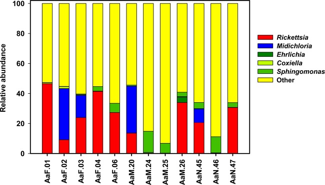 FIG 1