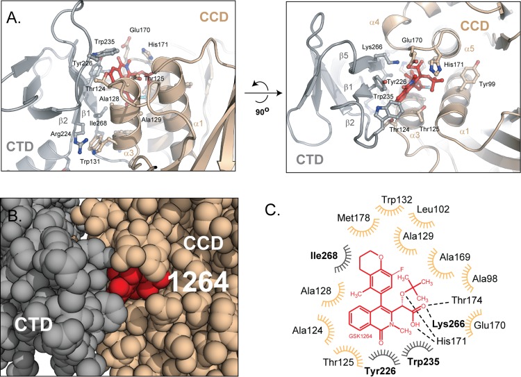 Fig 3