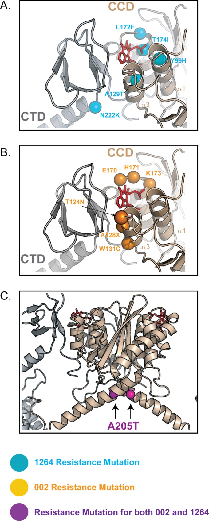 Fig 6