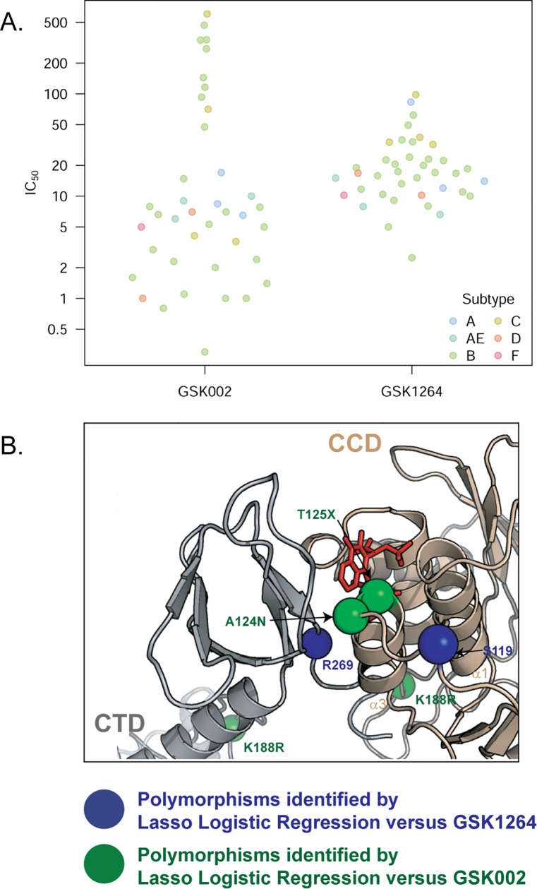 Fig 7