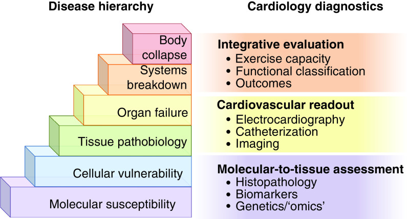 Figure 2. 