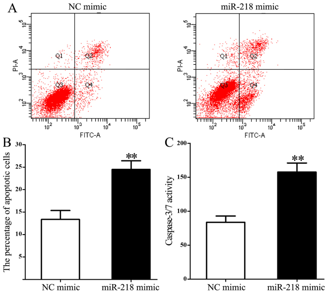 Figure 5.