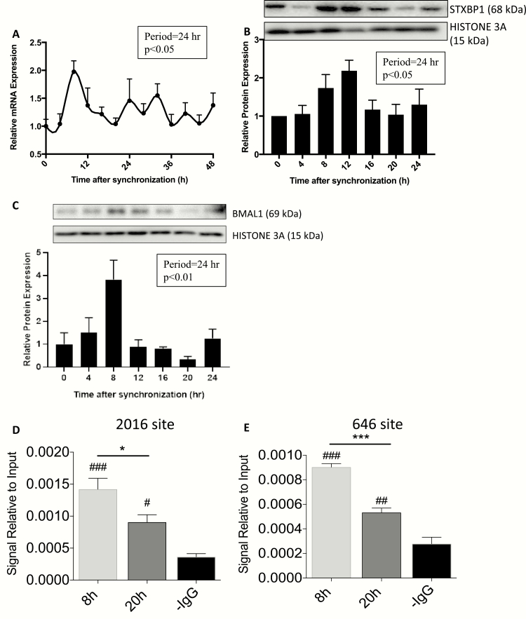 Figure 2.