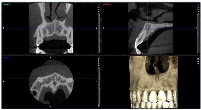 Figure 1