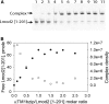 FIGURE 5: