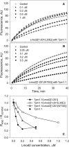 FIGURE 6: