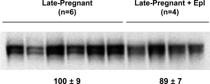 Fig. 5.