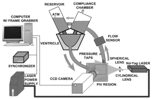 FIG. 1