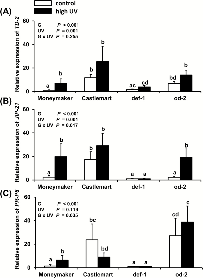 Fig. 6.