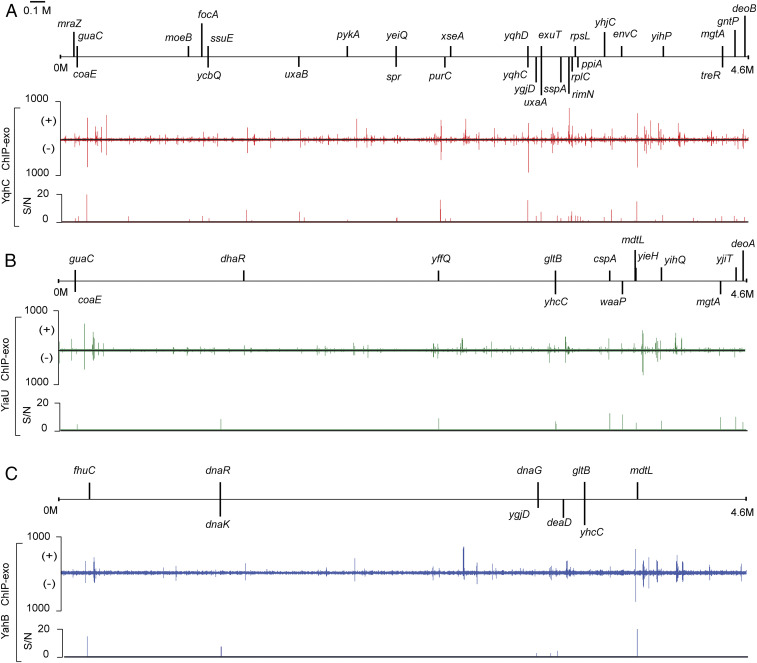 Fig. 3.