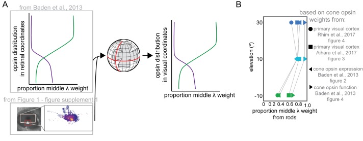 Figure 3—figure supplement 1.