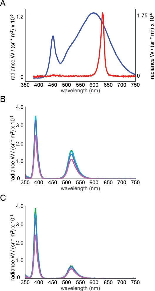 Figure 2—figure supplement 1.