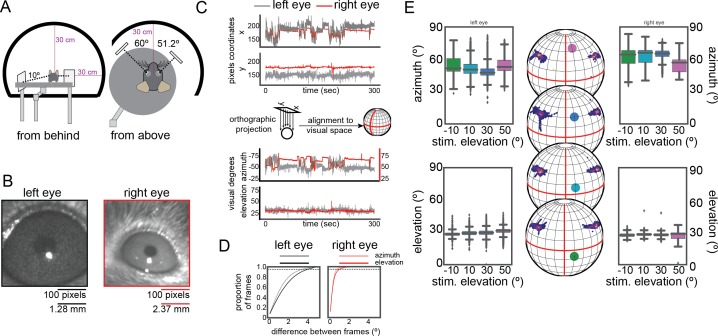 Figure 1—figure supplement 1.