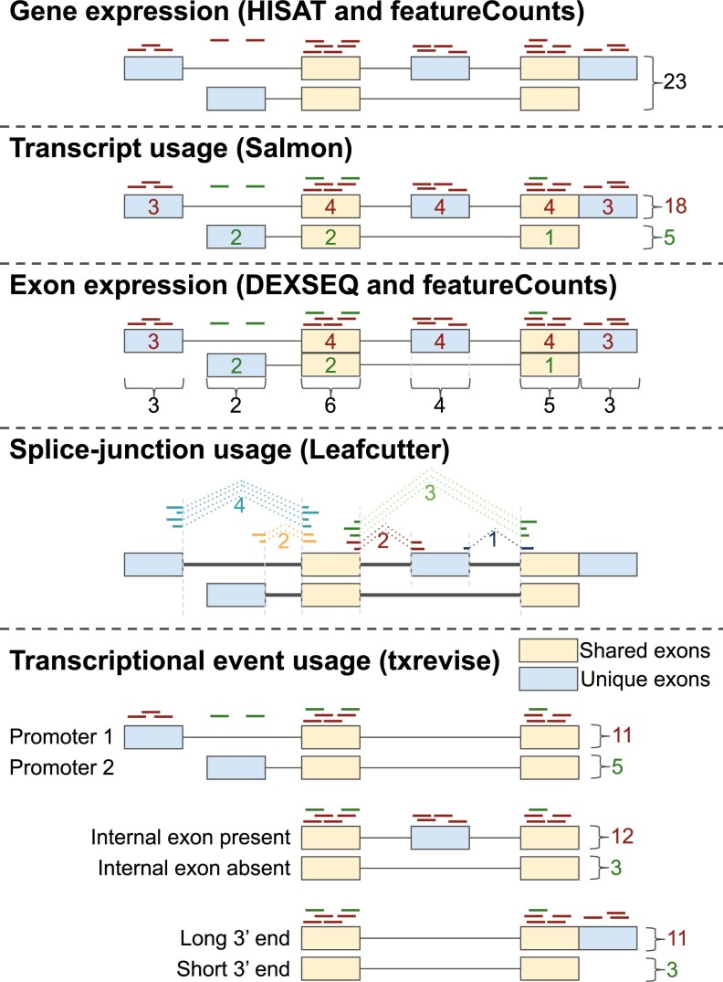 Extended Data Fig. 1