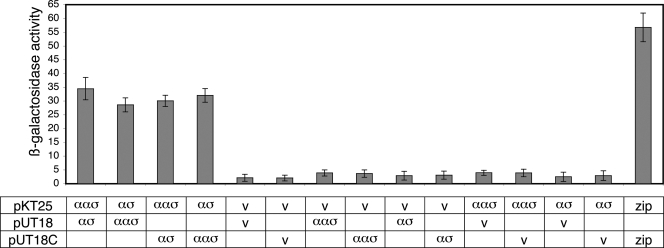 FIG. 1.