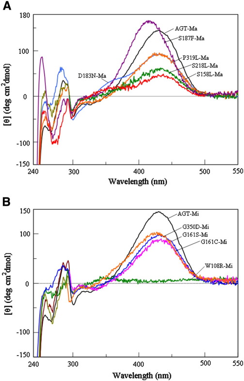 Fig. 2