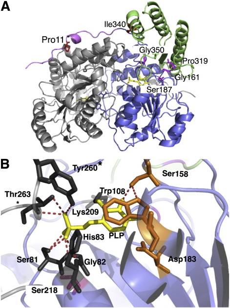 Fig. 1