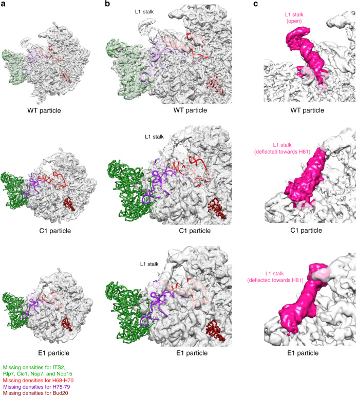 Fig. 9