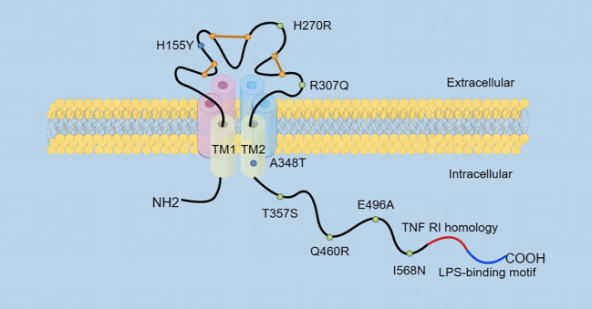 Figure 2