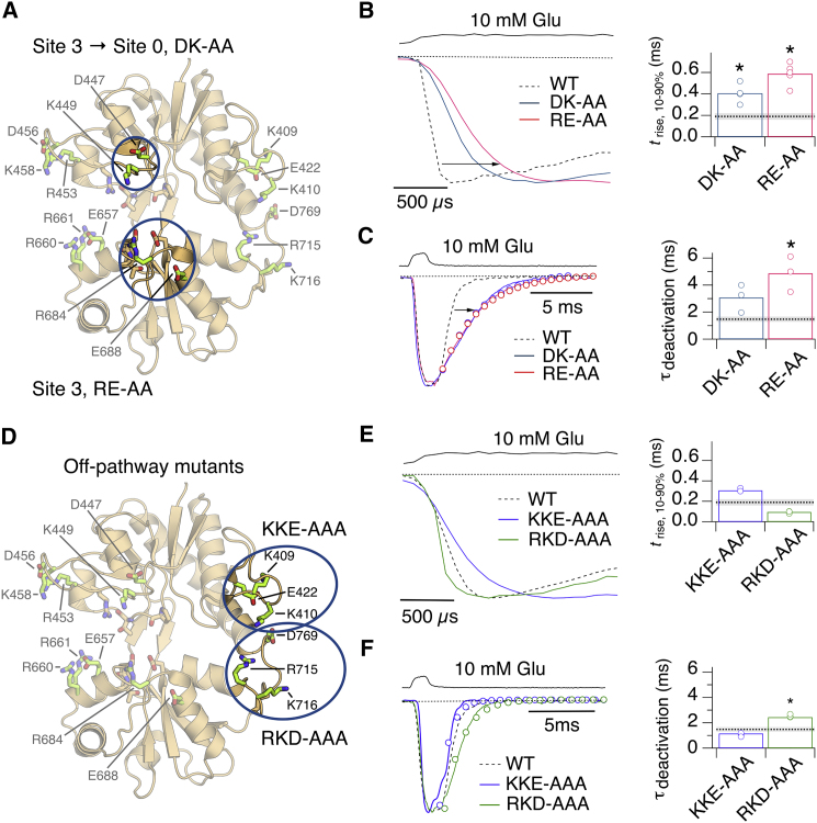 Figure 6