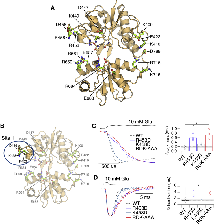 Figure 4