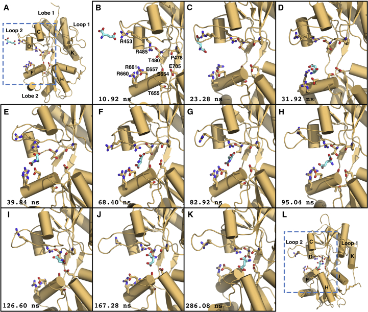 Figure 1