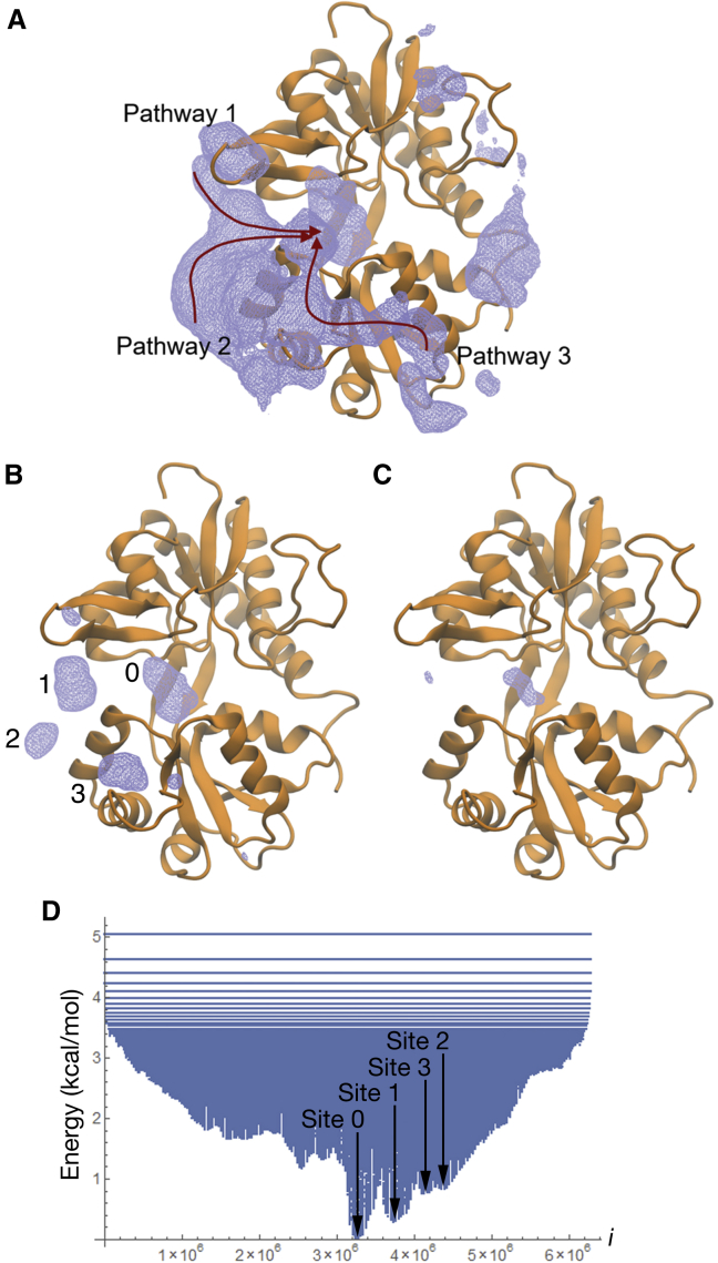 Figure 2