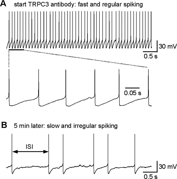 Figure 10.