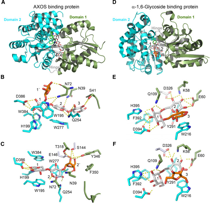 Figure 5.