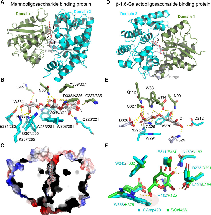 Figure 6.