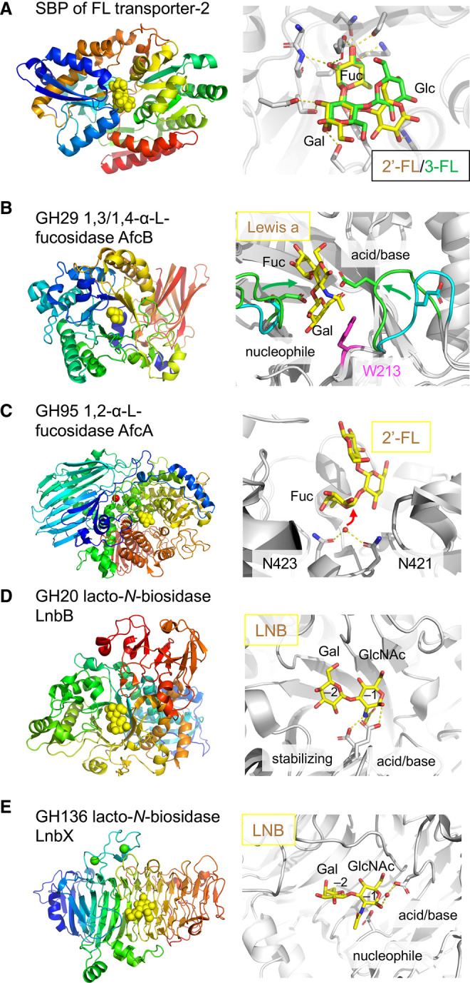 Figure 3.